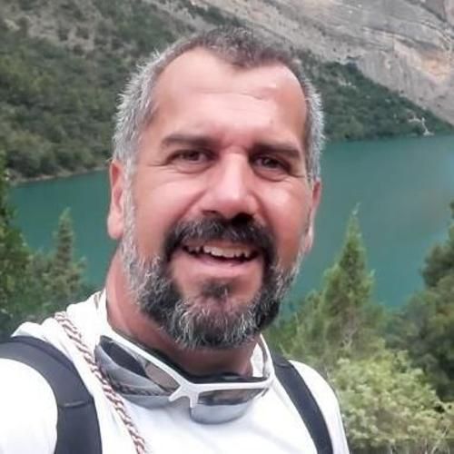 Professor Dr. Jesús Palá-Paúl