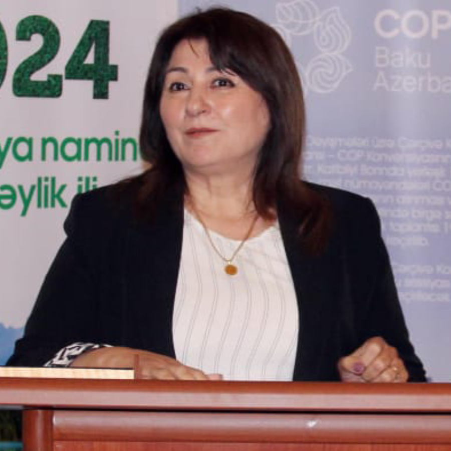 Ass. Professor Dr. Sedaget Adigozelova